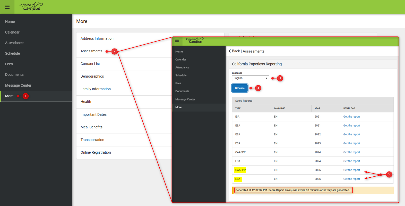 Screenshot illustrating steps to produce SSR.